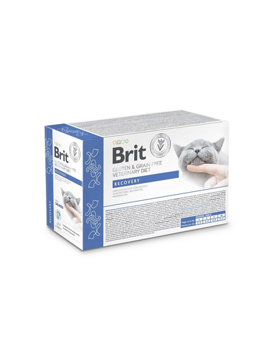BRIT Veterinary Diet Grain Free Recovery Cat Fillets in Gravy Salomon 12x85g pentru pisici în perioada de recuperare