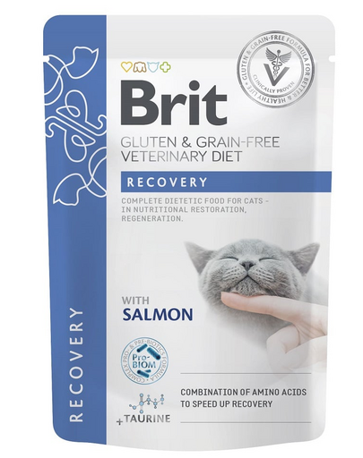 BRIT Veterinary Diet Grain Free Recovery fileuri în sos cu somon pentru pisici, 12x85g