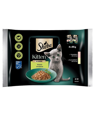 SHEBA Kitten 20x85 g hrana pentru pisoi, cu somon si pui in sos