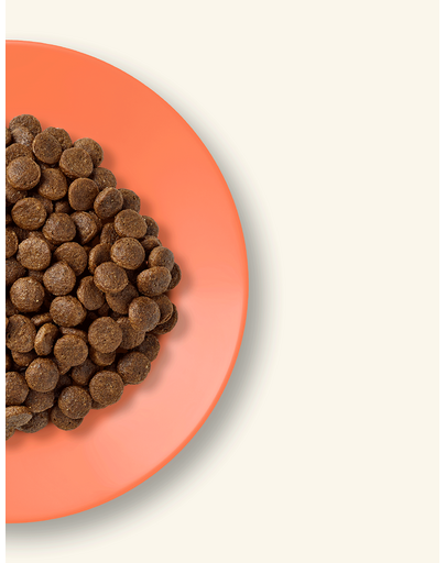 APPLAWS Chicken and Salmon karma bezzbożowa z kurczakiem i łososiem 7.5 kg