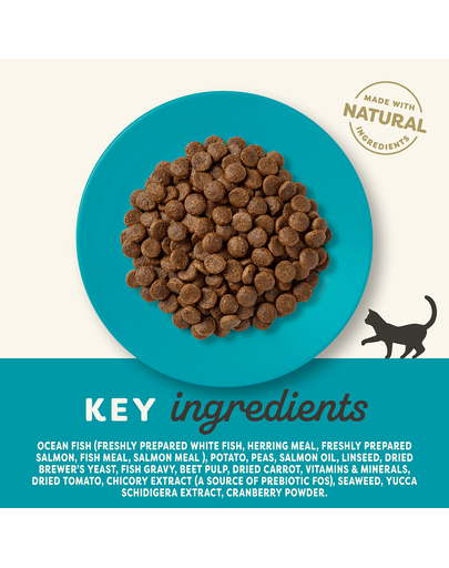 APPLAWS Adult Cat Ocean Fish and Salmon bezzbożowa karma dla kota z rybami 6 kg