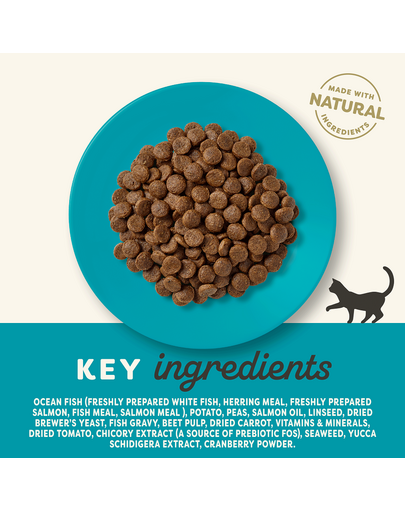 APPLAWS Cat Adult ocean fish and salmon 1,8 kg ryby oceaniczne z łososiem dla dorosłych kotów