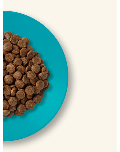 APPLAWS Adult Cat Ocean Fish and Salmon bezzbożowa karma dla kota z rybami 6 kg