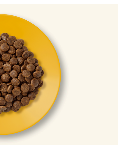 APPLAWS Senior chicken 7,5 kg sucha karma z kurczakiem dla starszych kotów