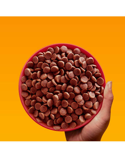 PEDIGREE Professional Nutrition Adult Mini vită și legume 12 kg hrană câini rase mici