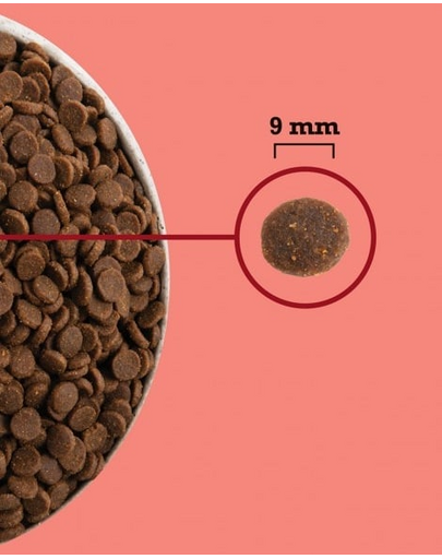 Highest Protein Indoor Cat 1,8 kg