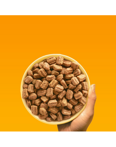 PEDIGREE Professional Nutrition Adult Maxi pui și legume 12 kg hrană câini rase mari