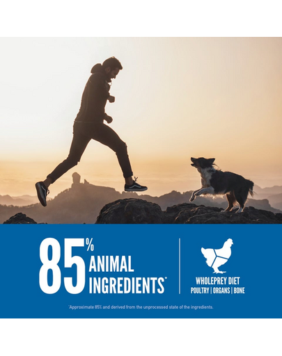 ORIJEN Original Dog 2 kg