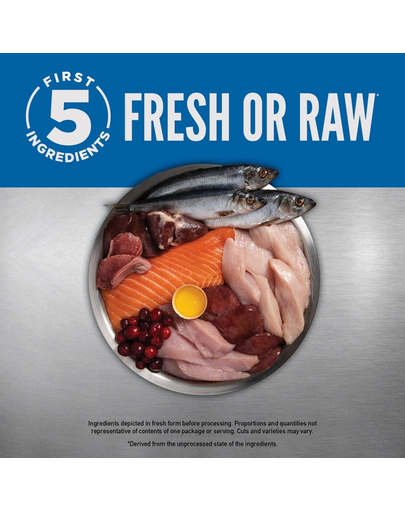 ORIJEN Original Dog 6 kg