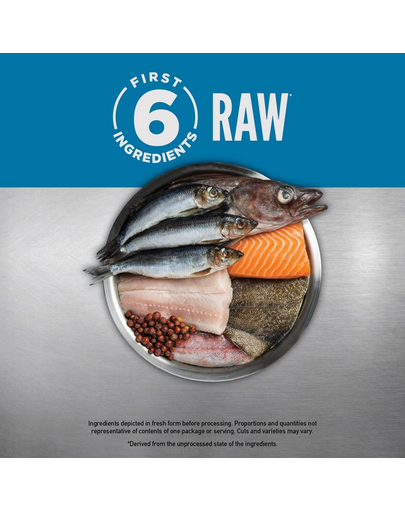 6 Fish Dog 6 kg