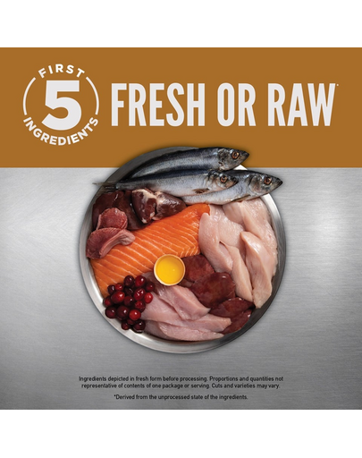 ORIJEN Original Cat 5,4 kg