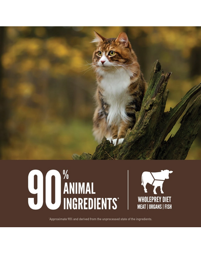 ORIJEN Regional Red Cat 340 g