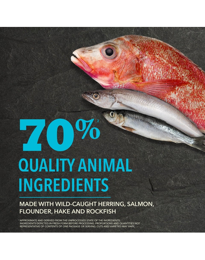 ACANA Pacifica Dog 6 kg