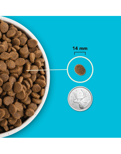 Pacifica Dog 11,4 kg