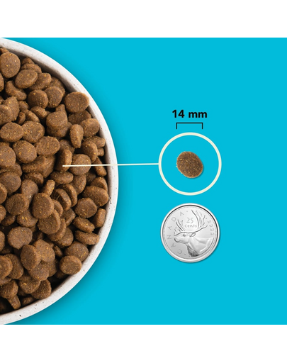 ACANA Highest protein Pacifica Dog 2 kg