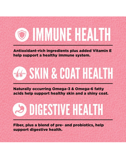 Small Breed Dog 4,5 kg