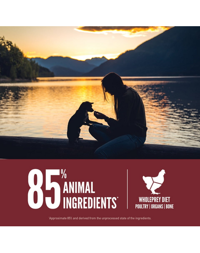 Small Breed Dog 4,5 kg