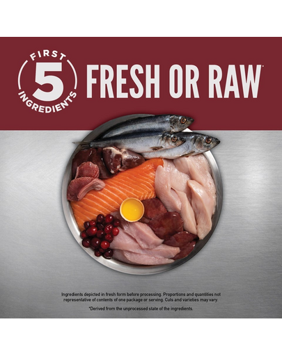 Small Breed Dog 4,5 kg