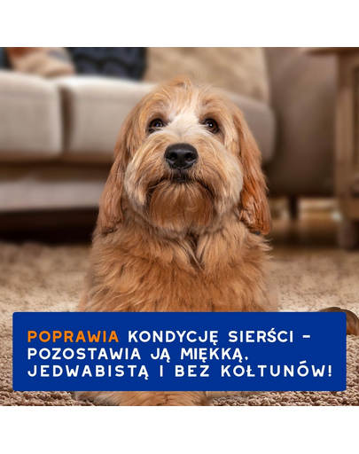 DOUXO Skin & Coat 2in1 Conditioning Shampoo 250 ml szampon z odżywką 2w1 dla psów