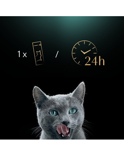 Snack cremos pisici somon SHEBA Creamy Snacks 4x12 g