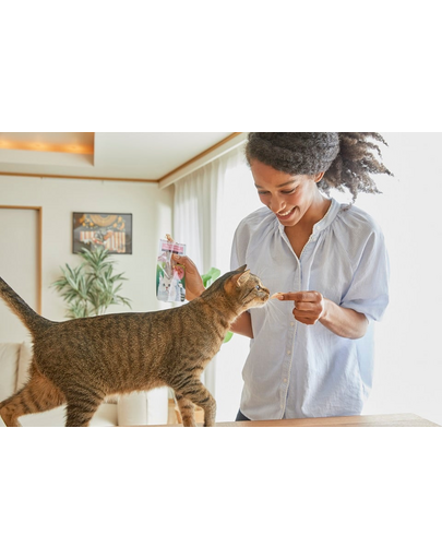 INABA CIAO Chicken fillet grilled Filet z kurczaka w bulionie z przegrzebków 25 g