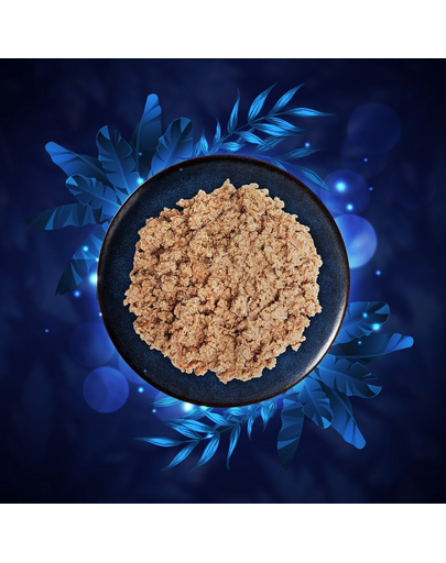 PRIMAL SPIRIT Iberian Wild Forest 400 g hrană pentru câini, cu porc și curcan