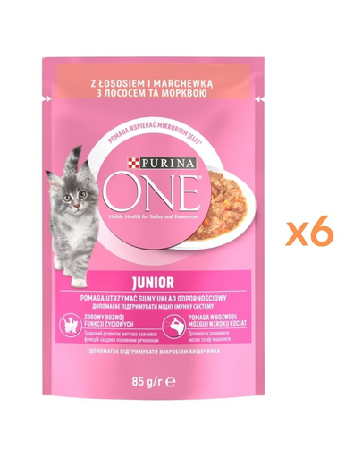 PURINA ONE Junior Cat 6x85 g hrană umedă pentru pisoi, cu somon și morcov