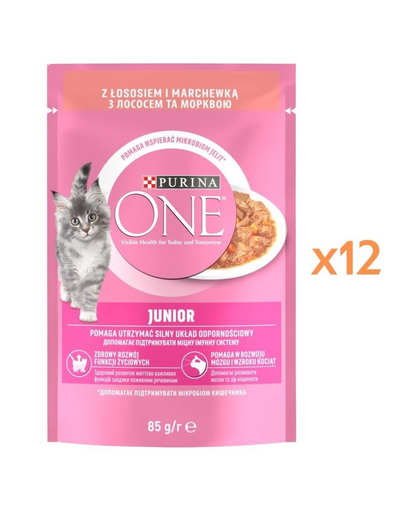 PURINA ONE Junior Cat 12x85 g hrană umedă pentru pisoi, cu somon și morcov