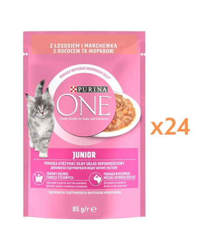 PURINA ONE Junior Cat 24x85 g hrană umedă pentru pisoi, cu somon și morcov