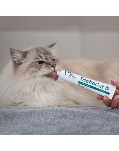 Pastă anti-ghemotoace pentru pisici VET EXPERT TrichoCat Anti-Bezoar 50 g