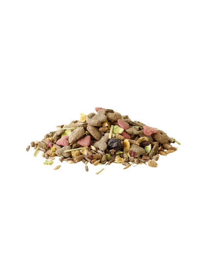 VERSELE-LAGA Crispy Muesli Guinea Pig 850g pokarm dla świnek morskich