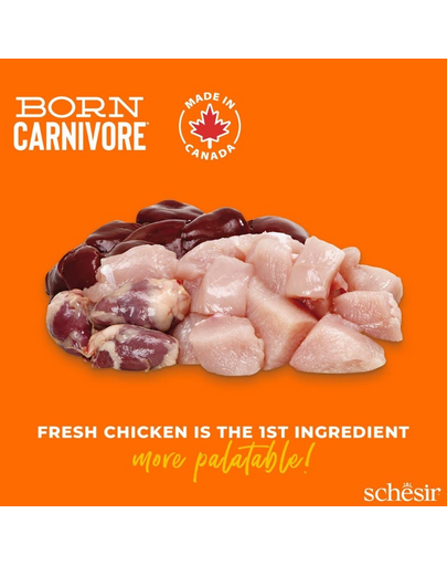 Hrană uscată pisici bogată în proteine SCHESIR Born Carnivore 1,25 kg pui cu ou