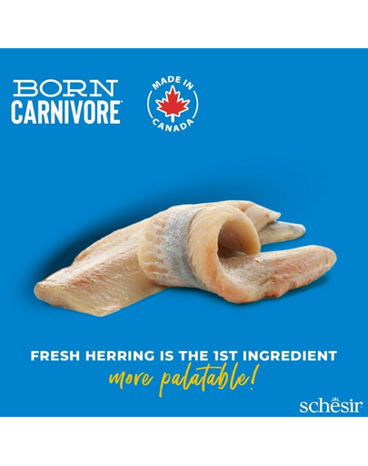 Hrană uscată pisici cu hering și somon Schesir Born Carnivore 1,25 kg fără cereale