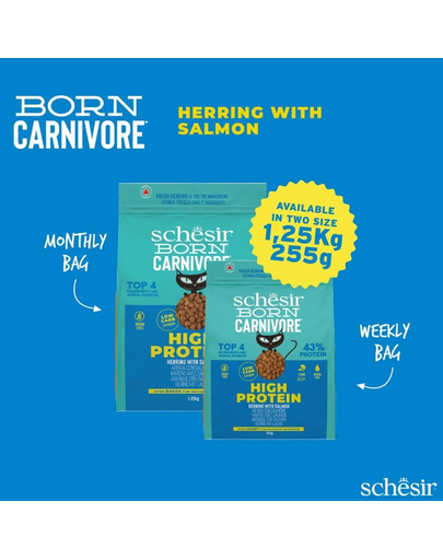 Hrană uscată pisici cu hering și somon Schesir Born Carnivore 1,25 kg fără cereale