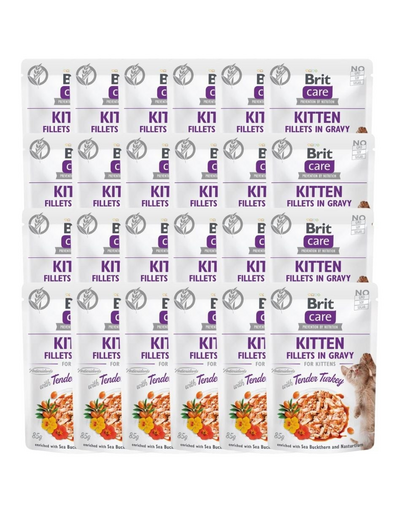 BRIT Care Fillets in gravy with tender turkey 24 x 85 g Plicuri hrana pisici, cu curcan in sos