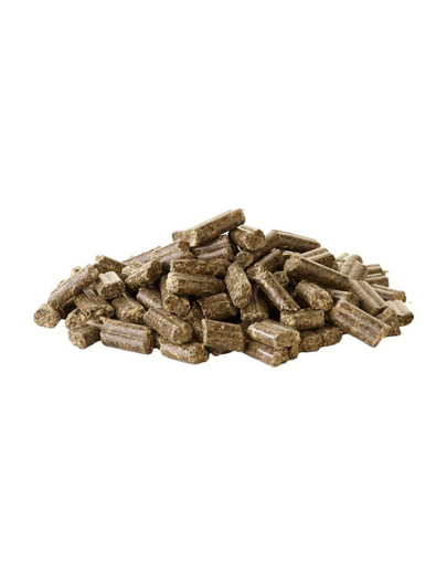 VERSELE-LAGA Crispy Pellets Rabbit 2 kg karma w formie pelletu dla królików