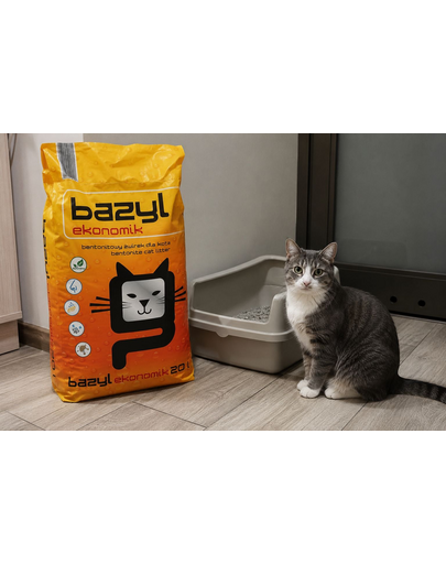 BAZYL Ekonomik 20 L