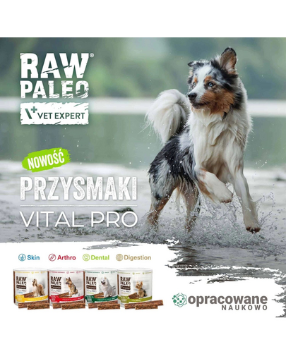 RAW PALEO Vital Pro Digestion Rabbit 100 g cu iepure recompensă pentru digestia câinilor medii și mari