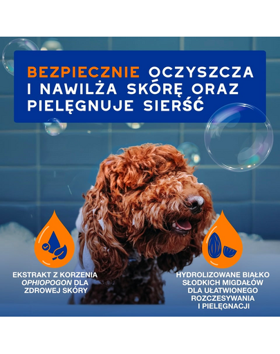 DOUXO Skin & Coat 2in1 Conditioning Shampoo 250 ml szampon z odżywką 2w1 dla psów