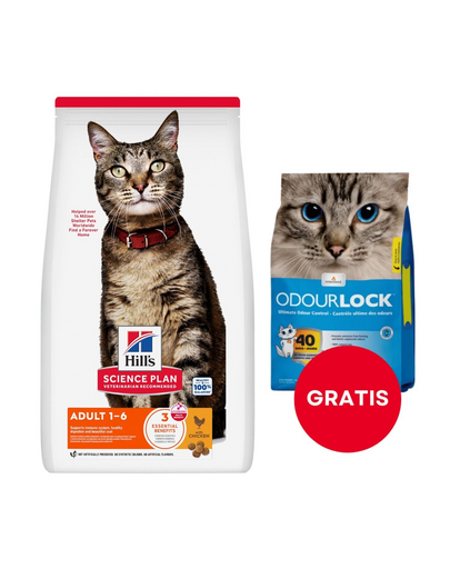 HILL'S Science Plan Feline Adult Chicken 10 kg pentru pisici + nisip 6 kg GRATIS