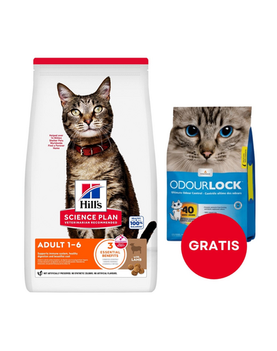 HILL'S Science Plan Feline Adult with Lamb 10kg cu miel + nisip pisică 6 kg GRATIS
