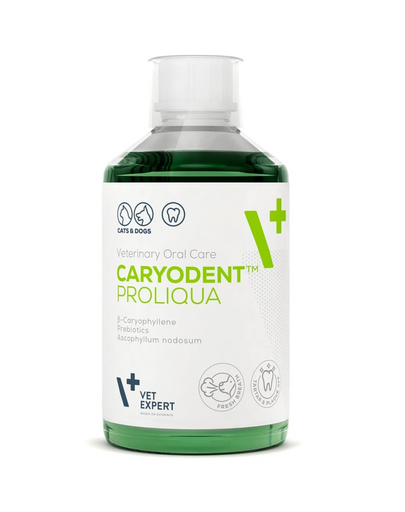 VET EXPERT Caryodent Proliqua 250 ml płyn do higieny jamy ustnej dla psa i kota