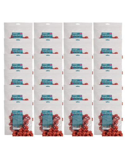 CHRUP&GO Mini os înnodat 24x500 g recompense pentru câini, cu piept de rață