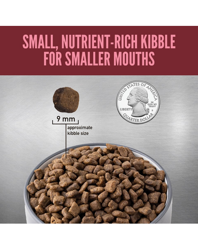 Small Breed Dog 4,5 kg