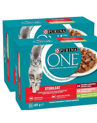 PURINA ONE Sterilcat 24x85g z wołowiną i marchewką, z łososiem i marchewką, z indykiem i zieloną fasolką, mokra karma dla kotów po sterylizacji