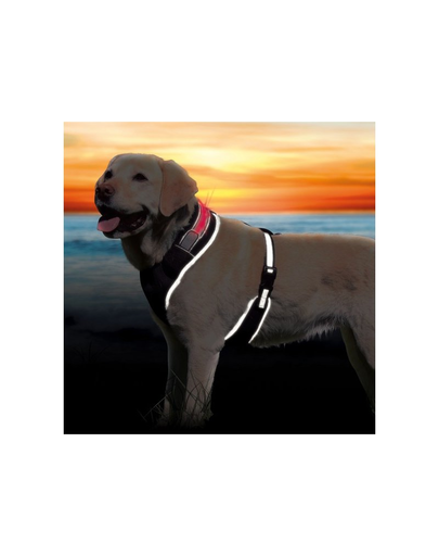 TRIXIE Ham Flash XS - S 40-50 cm negru