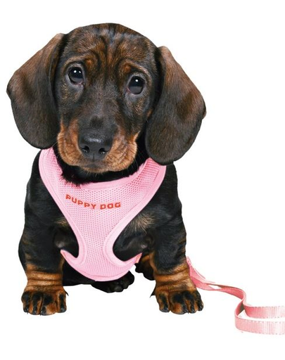 TRIXIE Ham cu lesă pentru cățeluși 26-34 cm / 10 mm roz