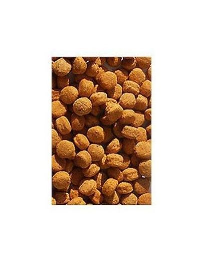 VERSELE-LAGA Nutribird h16 10 kg