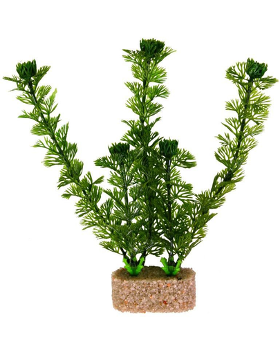 TRIXIE Plante pe piatră diametru 20 cm 6 buc.