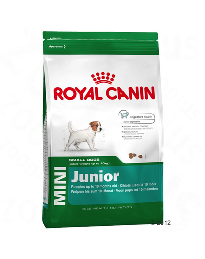 ROYAL CANIN Mini junior 500g + 300g gratis !
